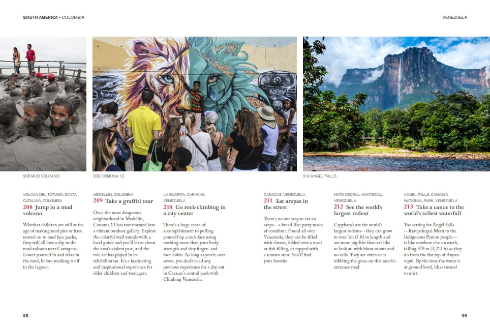 The Family Bucket List bog